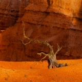 Bryce_Canyon__MG_0112_5D2s