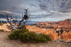 Bryce_Canyon__MG_0262_5D2s
