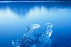 Iceberg at Lago Grey