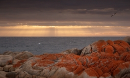 Eddystone Point sunrise rays