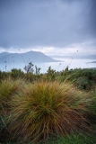 Button Grass and Lake Pedder from Scott's Peak