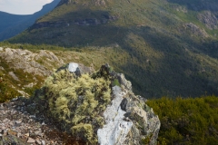 Cradel Mountain from the summit of Hanson's Peak