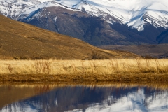 Los Cuernos del Paine reflection