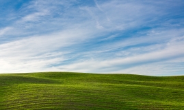 Green hillside